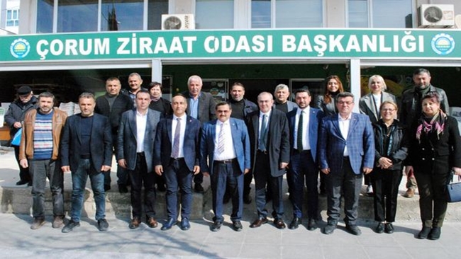 ATA TOHUMUNU GELÄ°ÅžTÄ°RECEÄžÄ°Z