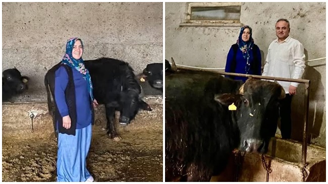 GENÇ KADIN MANDA ÇİFTLİĞİ KURDU