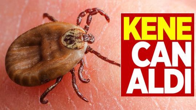 ÇORUM’DA KENE KABUSU!