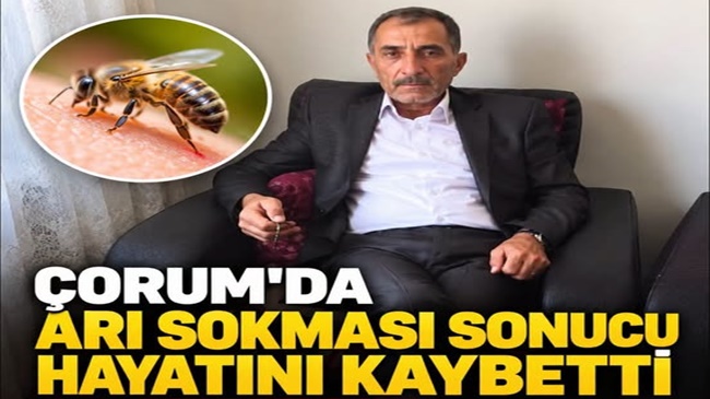 ARI SOKMASI SONUCU HAYATINI KATBETTİ