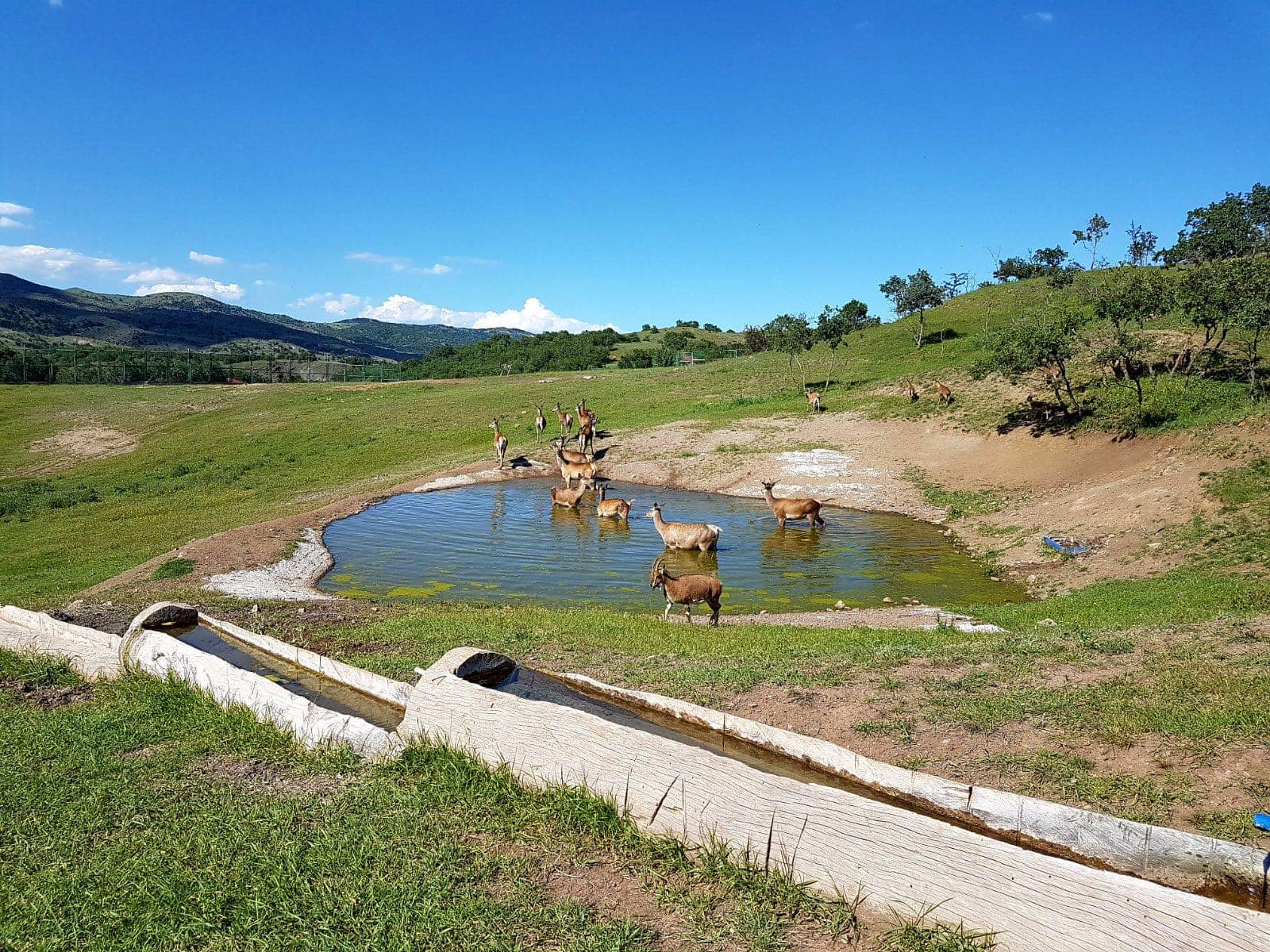 SIKLIK TABÄ°AT PARKI DOLUP TAÅžIYOR