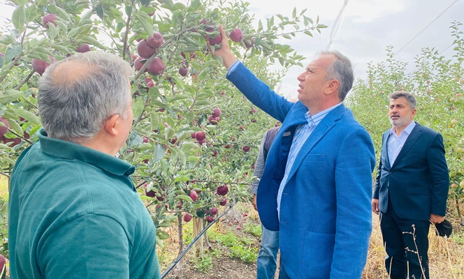 Ã‡ORUMâ€™DAN 14 ÃœLKEYE ELMA Ä°HRACATI!