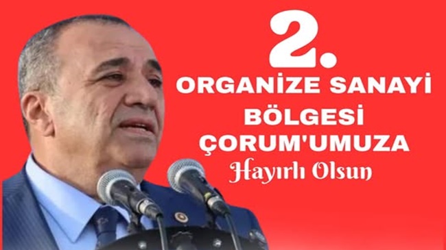 KAYRICI: ÇORUM, BÖLGESEL BİR GÜÇ MERKEZİ OLACAK
