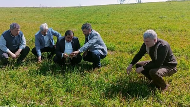 AK PARTİLİLER ZİRAİ DONDAN ETKİLENEN ARAZİLERİ GEZDİ