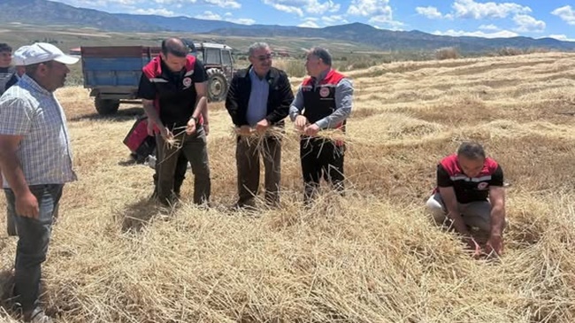 ÇORUM’DA 2026 YILI HASAT SEZONU BAŞLADI