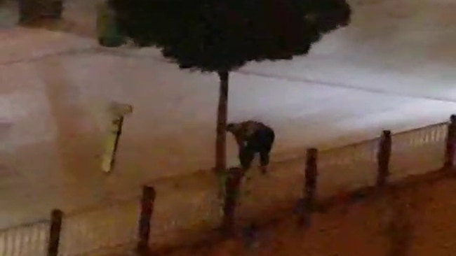 AÄžAÃ‡ SEVGÄ°SÄ°NÄ° BÃ–YLE GÃ–STERDÄ°