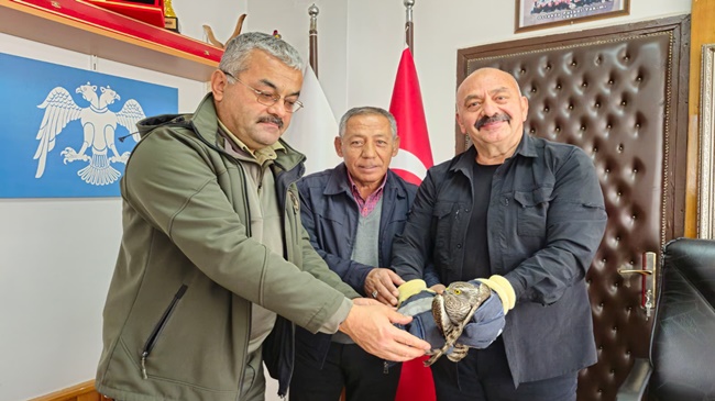 İSBİR, YARALI ATMACAYI MİLLİ PARKLAR EKİPLERİNE TESLİM ETTİ
