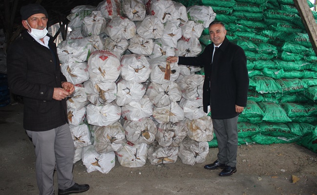 KÃ–MÃœR FÄ°YATLARI %100 ARTTI, VATANDAÅžLAR ZOR DURUMDA!