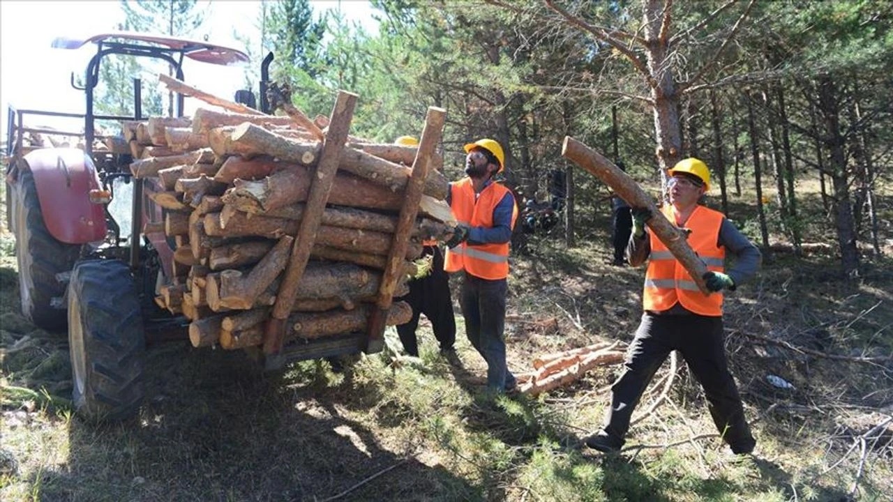 ÇORUM’DA 33 ORMAN İŞÇİSİ ALINACAK