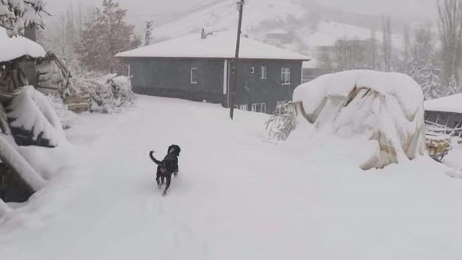 ÇORUM'DA 150 KÖY YOLU ULAŞIMA KAPANDI!