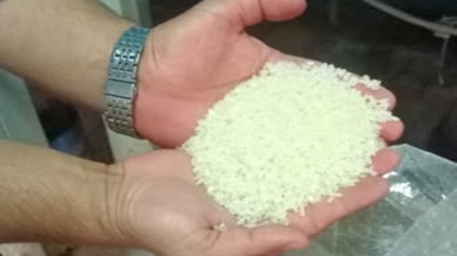 ÇORUM’DA ÇELTİK HASADI BAŞLADI