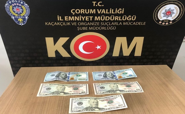 POLÄ°STEN SAHTE DOLAR OPERASYONU!