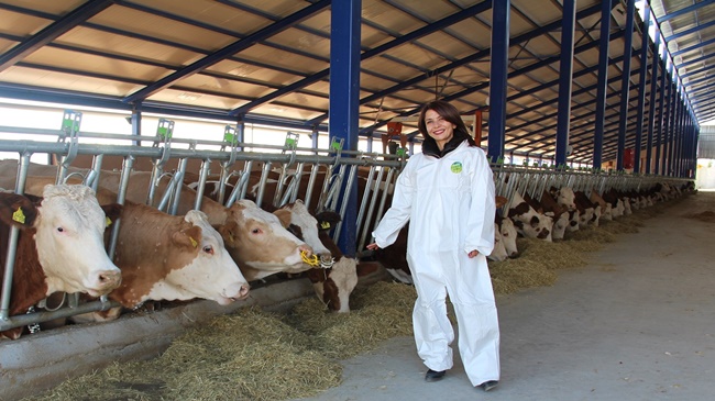 HAYVANCILIĞA 43 MİLYON EURO HİBE DESTEĞİ!