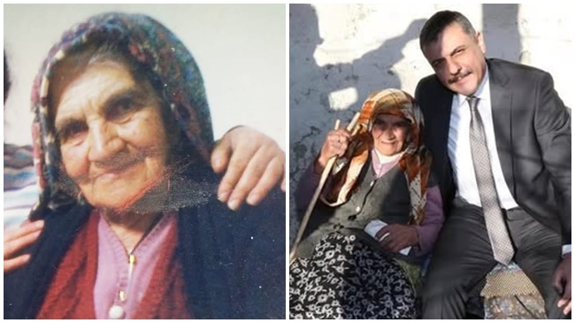 109 YAŞINDAKİ ASIRLIK ÇINAR, HAYATINI KAYBETTİ