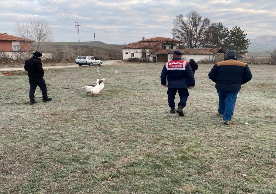KAZLARI DÖĞÜŞTÜRENLERE CEZA YAĞDI