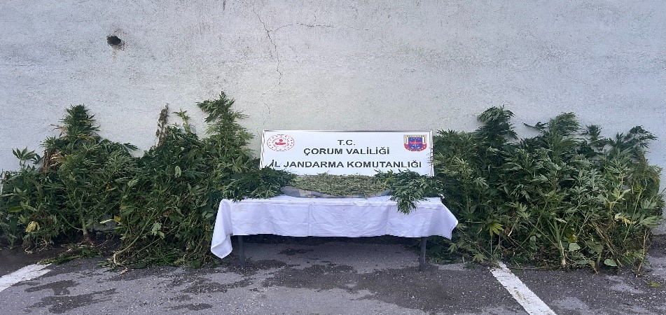 JANDARMA UYUŞTURUCU TACİRLERİNE GÖZ AÇTIRMIYOR