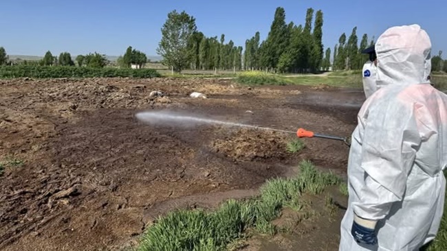 SİNEKLE MÜCADELE BAŞLADI