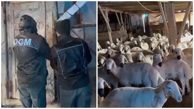 VALİLİK AÇIKLAMA YAPTI!